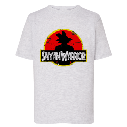 Sayen Warrior DragonBall