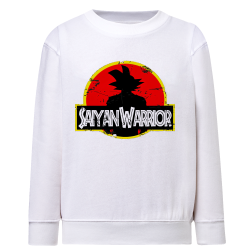 Sayen Warrior DragonBall