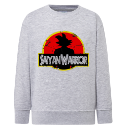 Sayen Warrior DragonBall