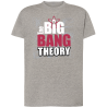 The Big Bang Theory