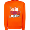 The Big Bang Theory