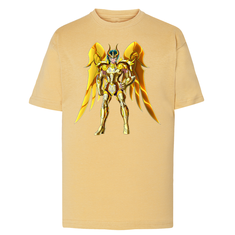 Aiolos Chevalier D'Or du Sagittaire