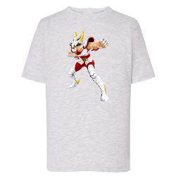 Tenma Chevalier de Bronze de Pégase