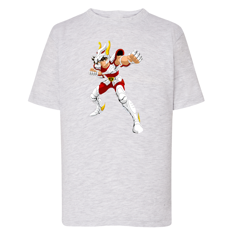 Tenma Chevalier de Bronze de Pégase