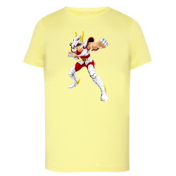 Tenma Chevalier de Bronze de Pégase