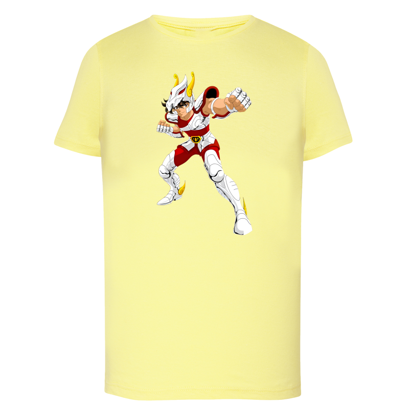 Tenma Chevalier de Bronze de Pégase