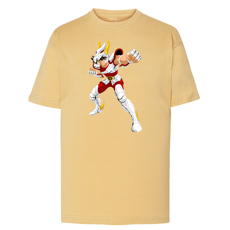 Tenma Chevalier de Bronze de Pégase