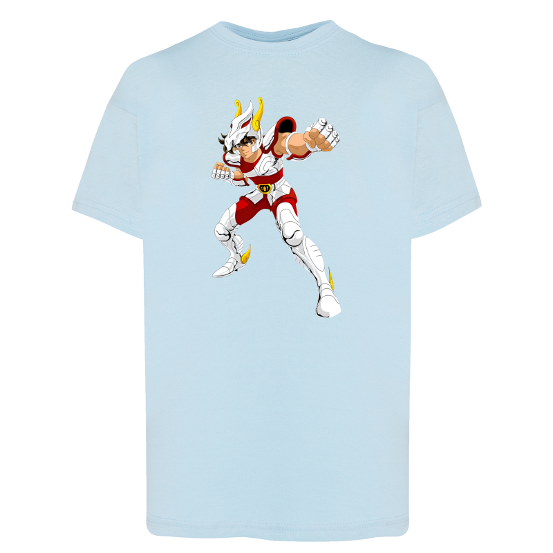 Tenma Chevalier de Bronze de Pégase