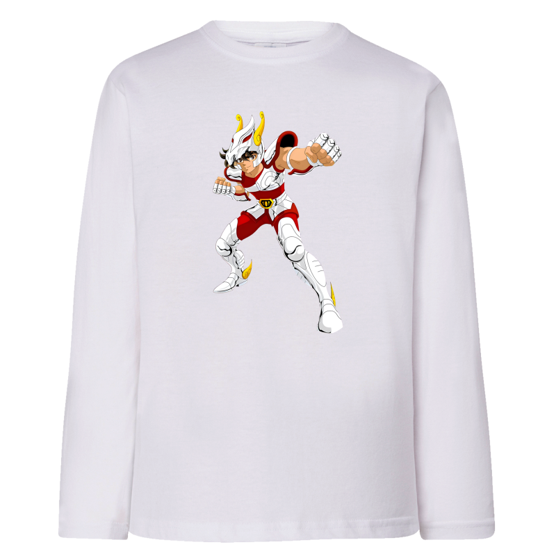 Tenma Chevalier de Bronze de Pégase