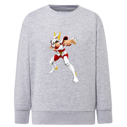 Tenma Chevalier de Bronze de Pégase