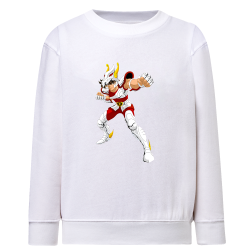 Tenma Chevalier de Bronze de Pégase