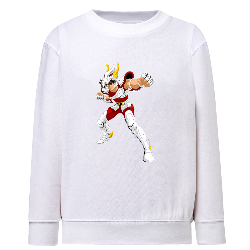 Tenma Chevalier de Bronze de Pégase