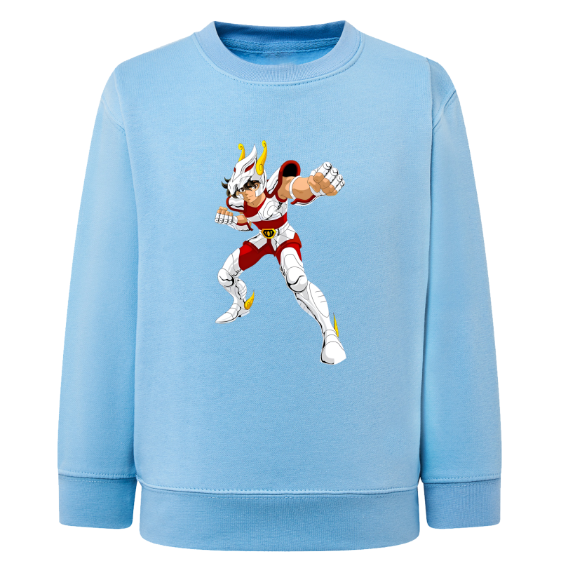 Tenma Chevalier de Bronze de Pégase