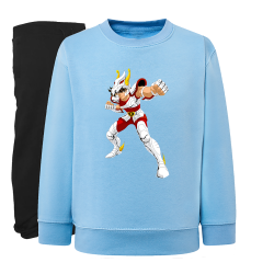 Tenma Chevalier de Bronze de Pégase