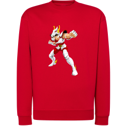 Tenma Chevalier de Bronze de Pégase