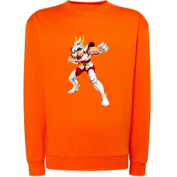 Tenma Chevalier de Bronze de Pégase