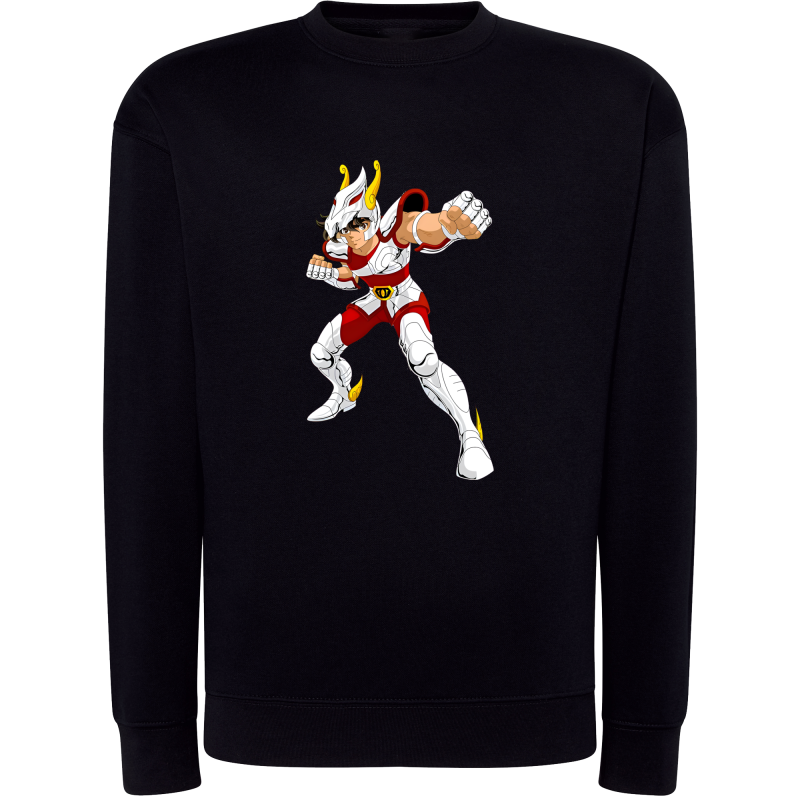 Tenma Chevalier de Bronze de Pégase