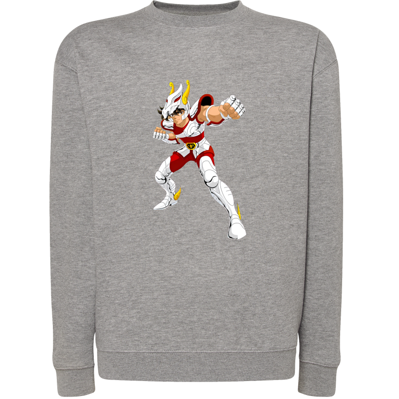 Tenma Chevalier de Bronze de Pégase