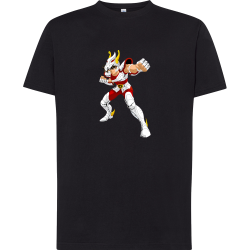 Tenma Chevalier de Bronze de Pégase