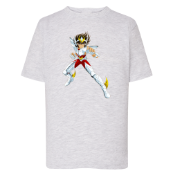 Seiya Chevalier de Bronze de Pégase