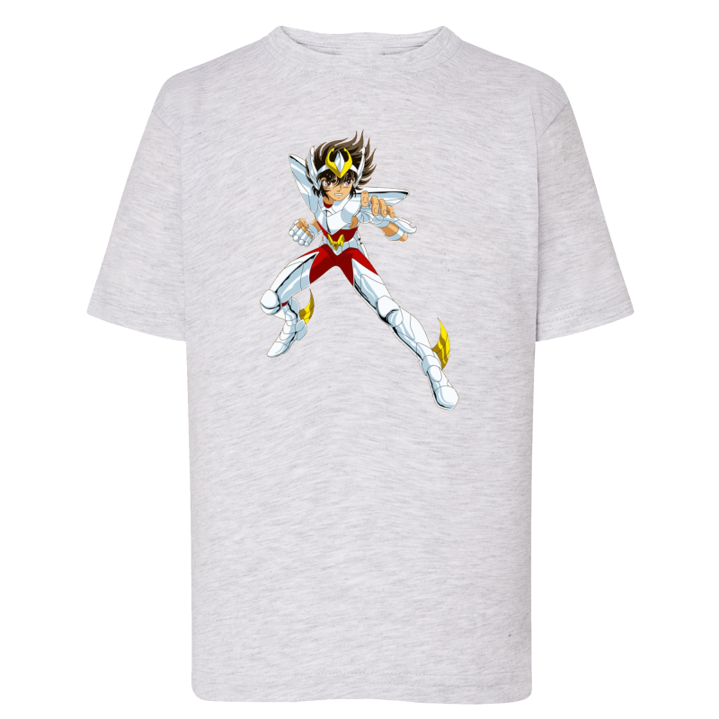 Seiya Chevalier de Bronze de Pégase