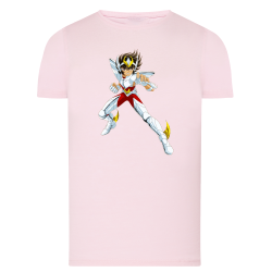 Seiya Chevalier de Bronze de Pégase