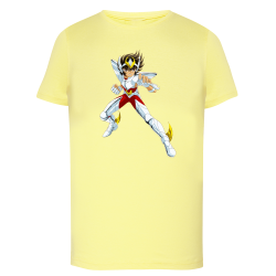 Seiya Chevalier de Bronze de Pégase