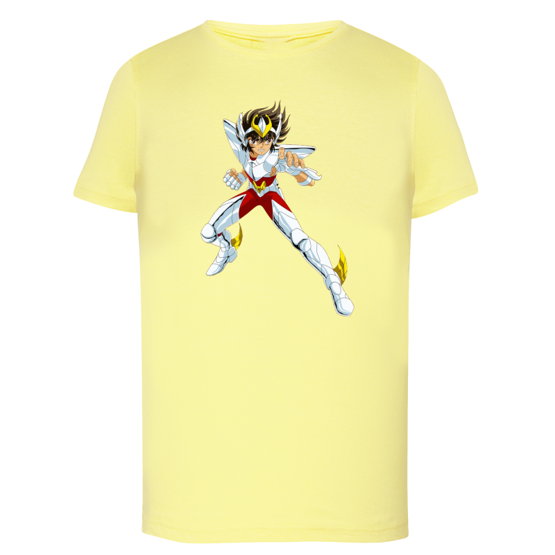 Seiya Chevalier de Bronze de Pégase