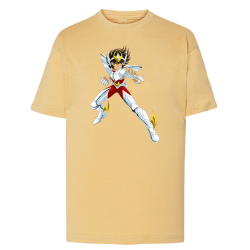 Seiya Chevalier de Bronze de Pégase