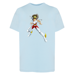 Seiya Chevalier de Bronze de Pégase