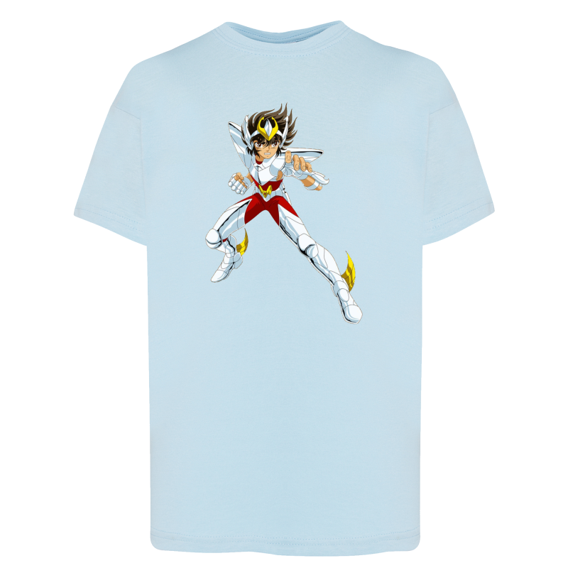 Seiya Chevalier de Bronze de Pégase