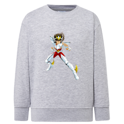 Seiya Chevalier de Bronze de Pégase