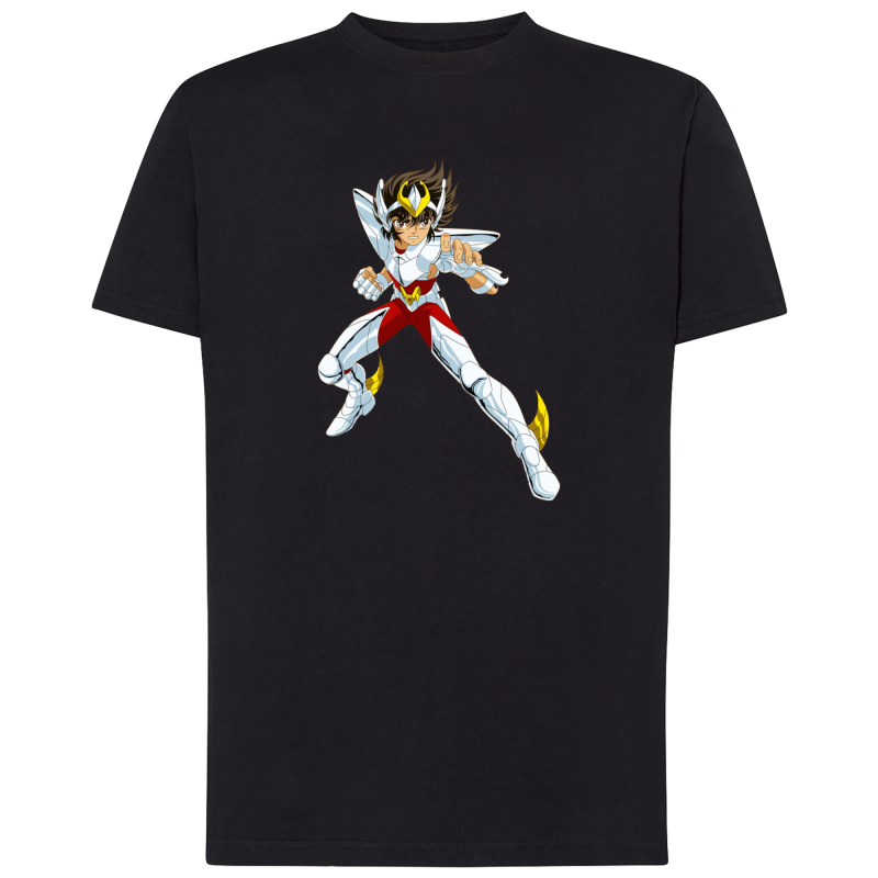 Seiya Chevalier de Bronze de Pégase