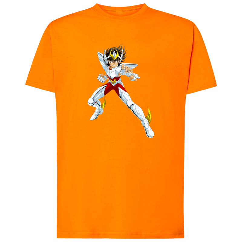 Seiya Chevalier de Bronze de Pégase