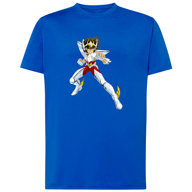 Seiya Chevalier de Bronze de Pégase