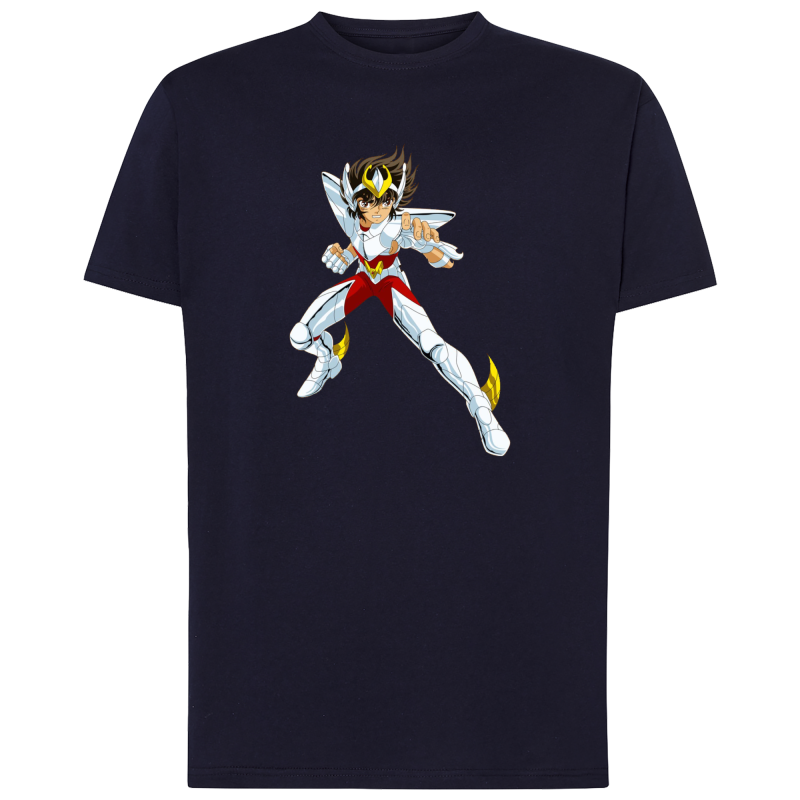 Seiya Chevalier de Bronze de Pégase