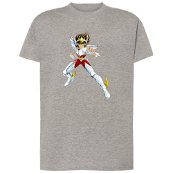 Seiya Chevalier de Bronze de Pégase