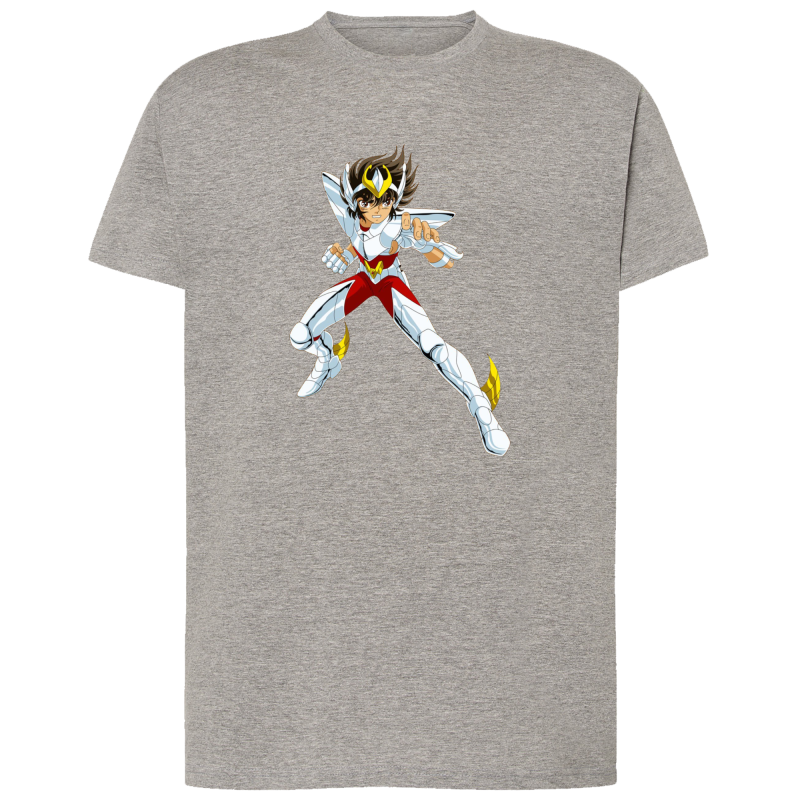 Seiya Chevalier de Bronze de Pégase