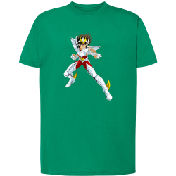 Seiya Chevalier de Bronze de Pégase