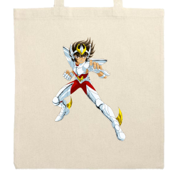 Seiya Chevalier de Bronze de Pégase