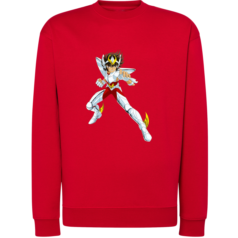 Seiya Chevalier de Bronze de Pégase