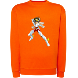 Seiya Chevalier de Bronze de Pégase