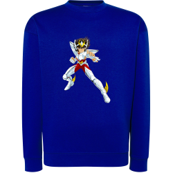 Seiya Chevalier de Bronze de Pégase