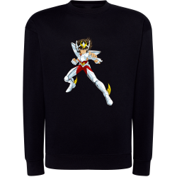 Seiya Chevalier de Bronze de Pégase