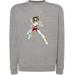 Seiya Chevalier de Bronze de Pégase