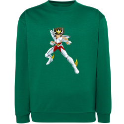 Seiya Chevalier de Bronze de Pégase