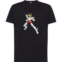 Seiya Chevalier de Bronze de Pégase