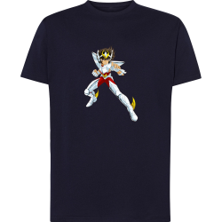 Seiya Chevalier de Bronze de Pégase