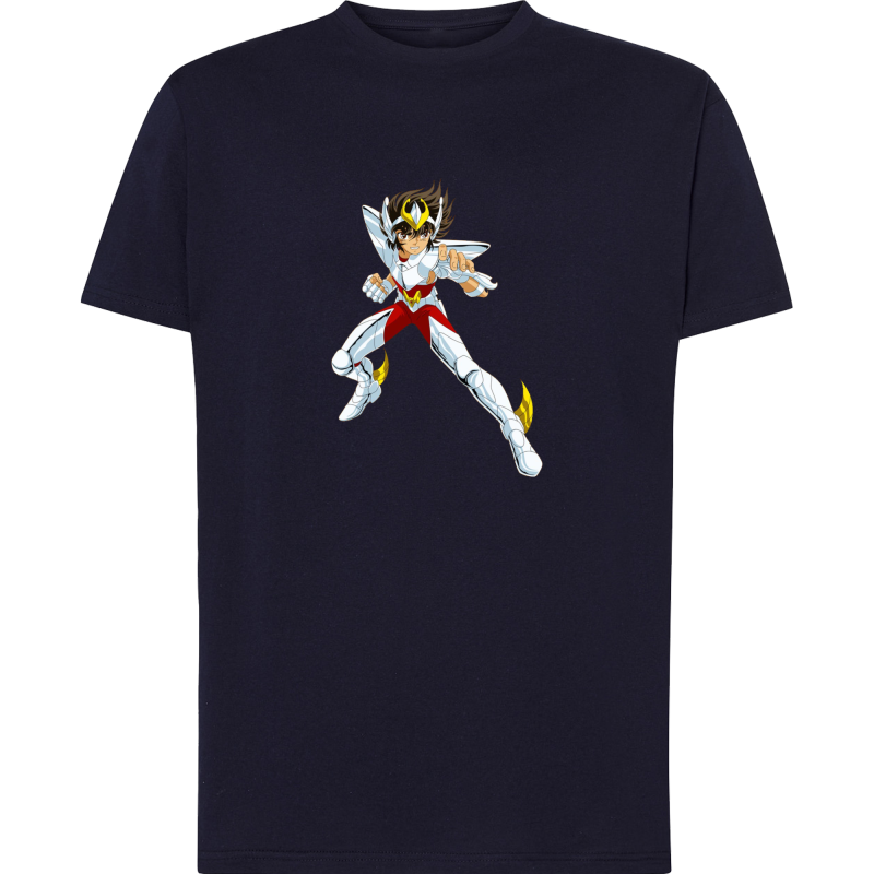 Seiya Chevalier de Bronze de Pégase