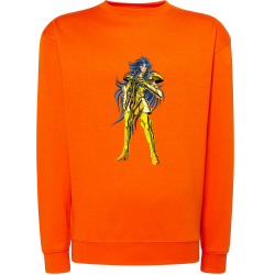 Aiolia Chevalier d'Or du Lion